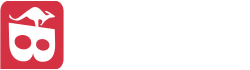 Bonza Bike Tours
